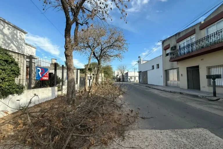Cuadrilla municipal realizando poda invernal en calle 3 de Caballería, Gualeguaychú