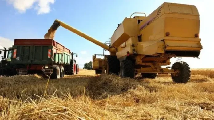 Campo de cultivo en Entre Ríos con silos al fondo