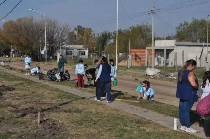 Jornada de plantación de árboles nativos en el barrio San Roque de Maciá