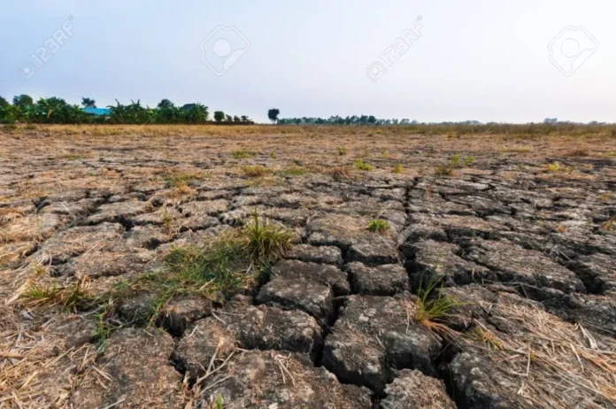 Gráfico de precipitaciones en Entre Ríos durante mayo de 2025