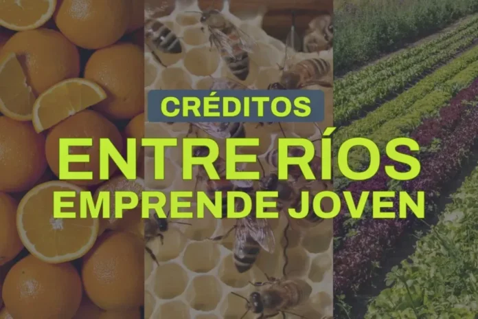 abrio-la-convocatoria-del-programa-entre-rios-emprende-joven-2 Convocatoria programa Entre Ríos Emprende Joven