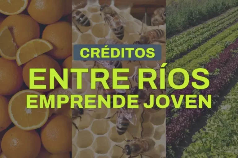 Convocatoria programa Entre Ríos Emprende Joven