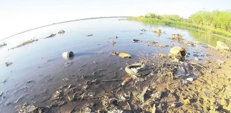 Residuos plásticos en el Río Paraná