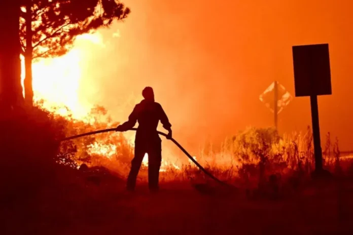 brigadas-entrerrianas-asisten-en-el-combate-de-incendios-en-la-zona-del-delta Brigadistas de Entre Ríos combatiendo incendios en el Delta