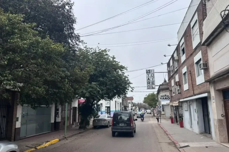 Corte parcial de tránsito en calle San Martín por trabajos de poda