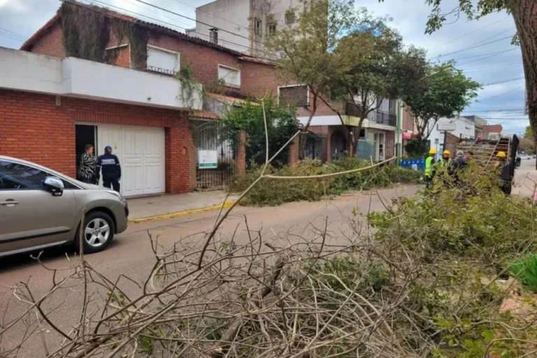 Tareas de poda invernal en Gualeguaychú