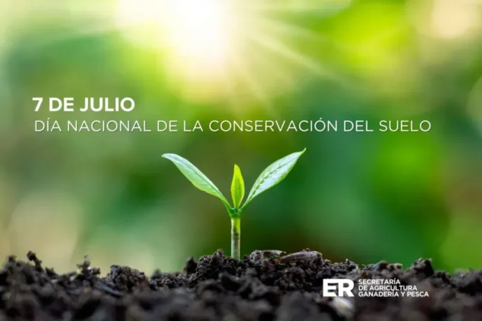 Campo con terrazas de conservación de suelos en Entre Ríos