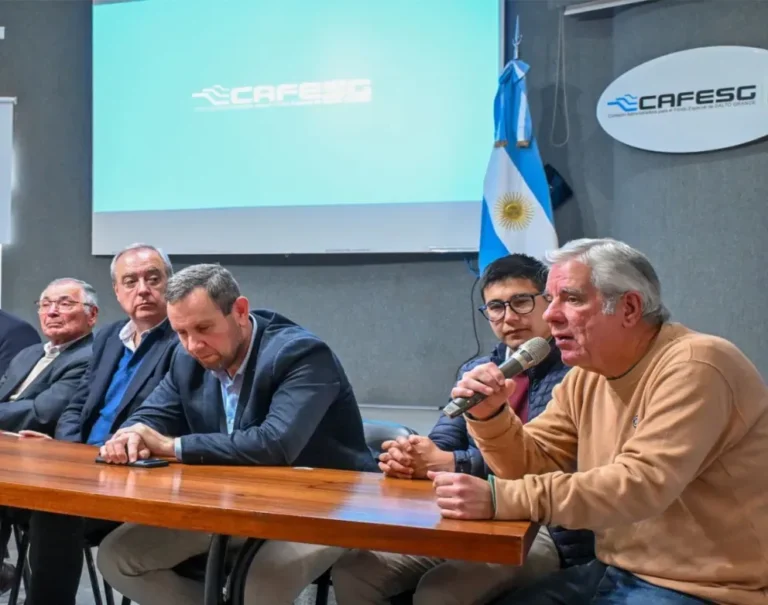Presentación del ciclo de capacitación sobre Salud Mental en Infancias y Adolescencias