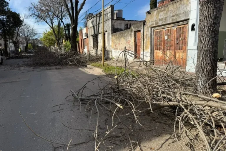 Trabajadores de poda con equipos de seguridad en calle Gervasio Méndez, Gualeguaychú