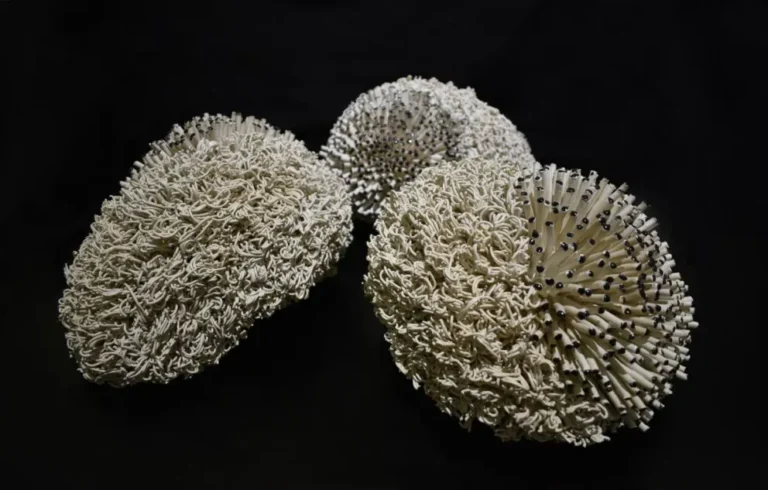 Obras de arte contemporáneo entrerriano en exhibición