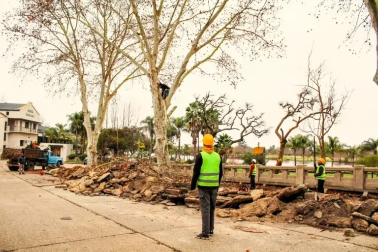 Poda de árboles en la Costanera de Gualeguaychú