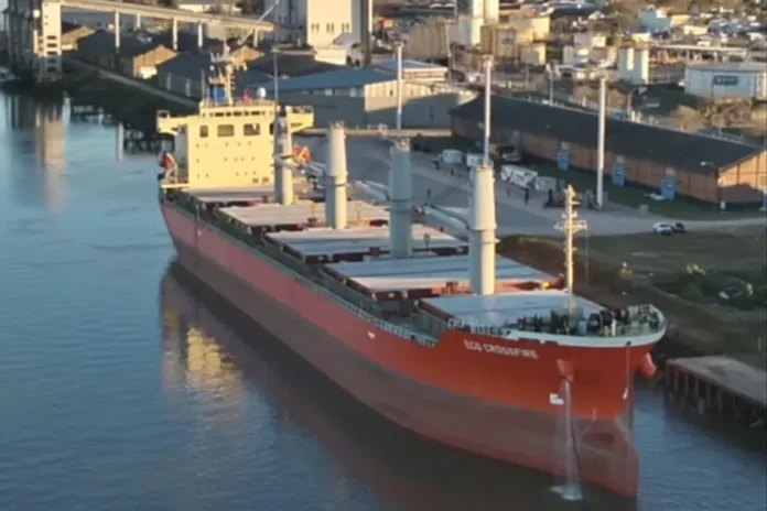Carga de soja no modificada genéticamente en Puerto de Concepción del Uruguay