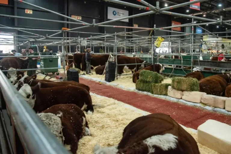 Stand de Entre Ríos en la Exposición Rural de Palermo
