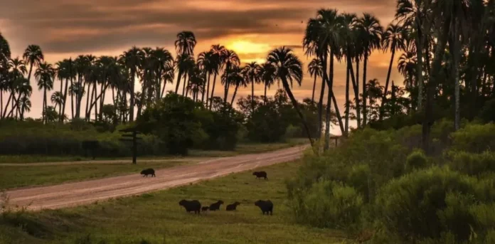 Turistas en un complejo termal de Entre Ríos
