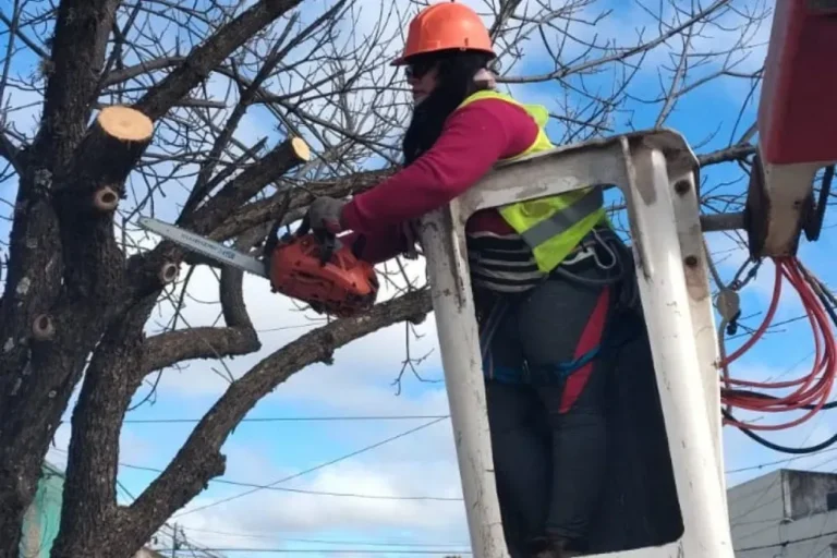 Trabajos de poda en calle Bolívar y San Martín, Entre Ríos