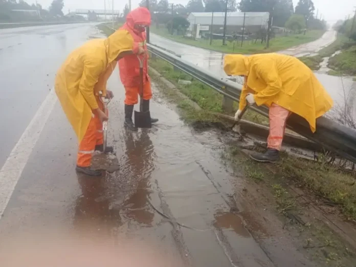 Trabajos de limpieza en cunetas de la Autovía del Mercosur