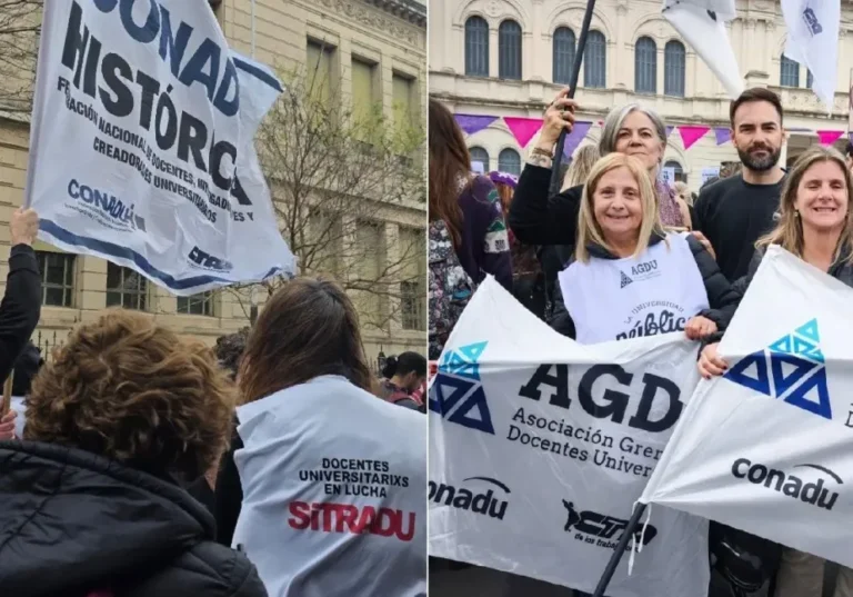 Docentes universitarios en protesta