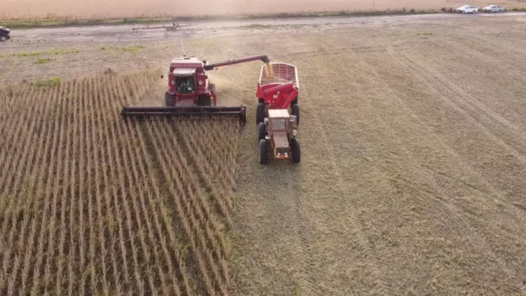 Campo agrícola en Entre Ríos con cultivos de soja y maíz