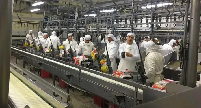 Trabajadores de Granja Tres Arroyos en la planta La China