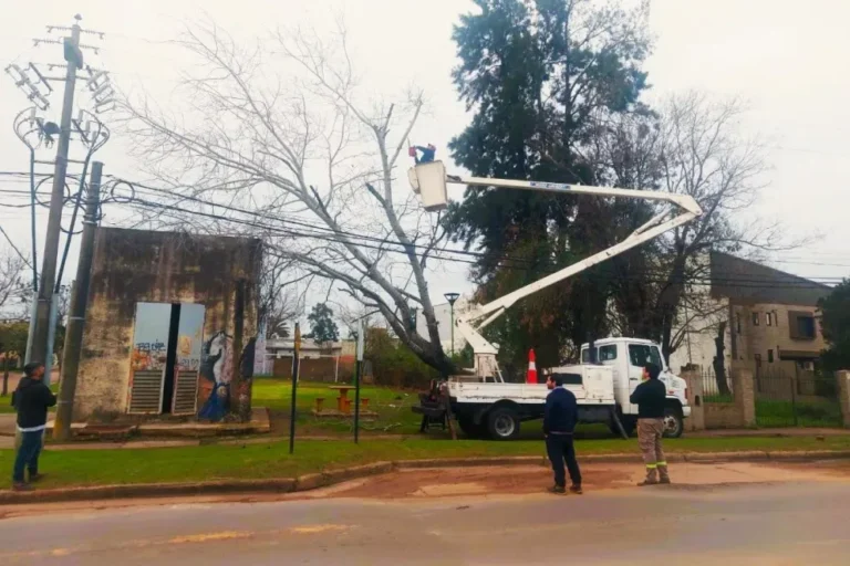 Árbol retirado sobre línea de media tensión