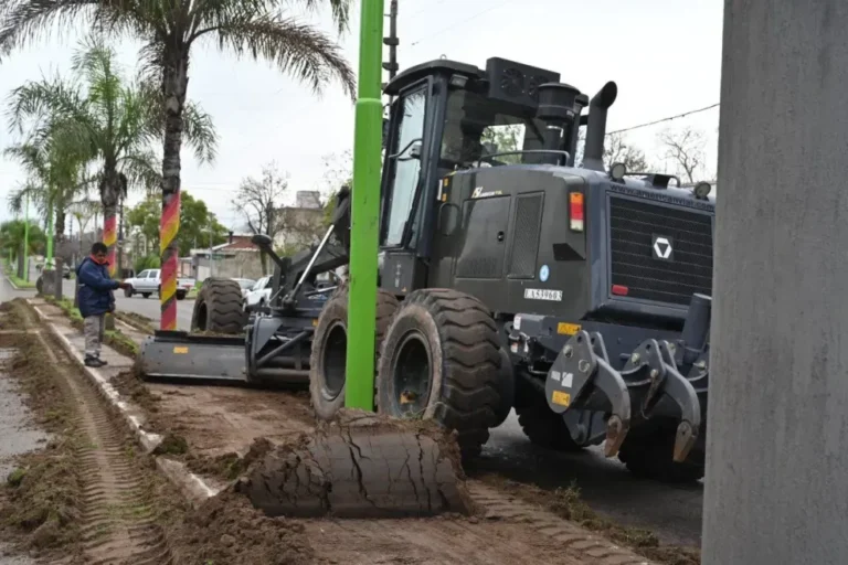 Canteros nivelados del boulevard Daneri