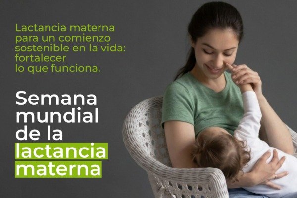 Jornada de difusión y sensibilización sobre lactancia materna en Entre Ríos