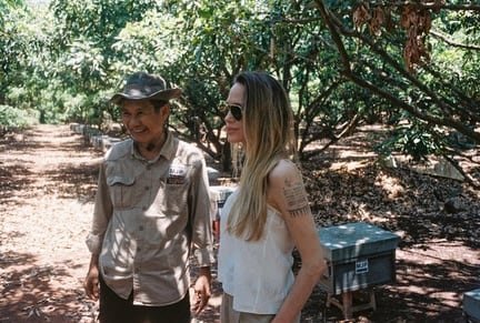 angelina-jolie-compro-39-hectareas-camboya-protege-bosque-200-especies Angelina Jolie en un bosque de Camboya