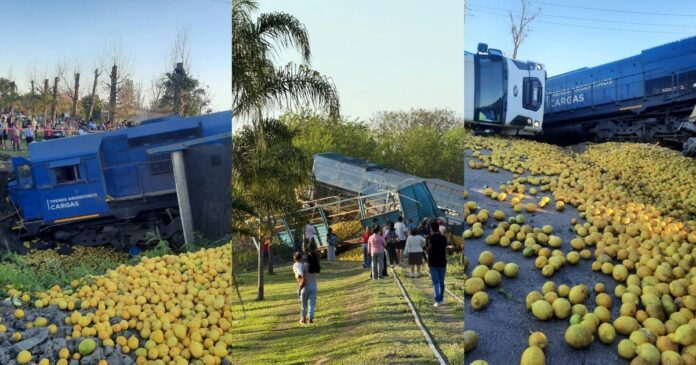 Tren descarrilado y camión volcado con limones esparcidos en Simoca, Tucumán