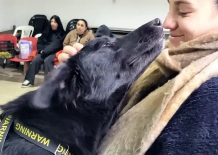 Cartel con cronograma de castraciones de mascotas en Paraná