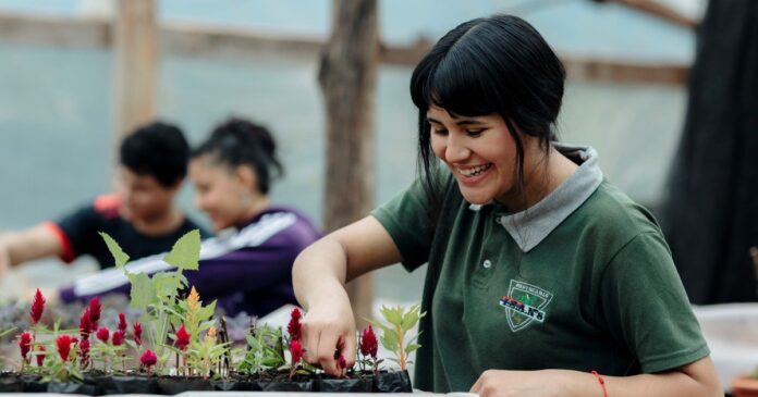 docente-montecarlo-innovacion-inteligencia-artificial-escuelas-agrotecnicas-2 Gabriela Büttner, docente de inglés en el IEA N.º 8 de Guatambú, Montecarlo, Misiones