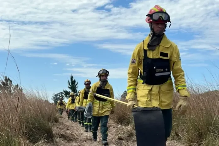 entre-rios-avanza-capacitacion-uso-fuego-gestion-ambiental Brigadistas durante una capacitación sobre uso del fuego como herramienta de gestión ambiental en Entre Ríos