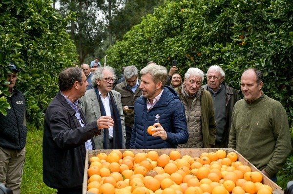 frigerio-recorrio-plantaciones-citricos-concordia-potencial-sector-crecer-exportar Rogelio Frigerio durante la recorrida por plantaciones de cítricos en Concordia