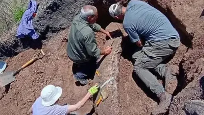 Investigaciones arqueológicas en seis departamentos entrerrianos