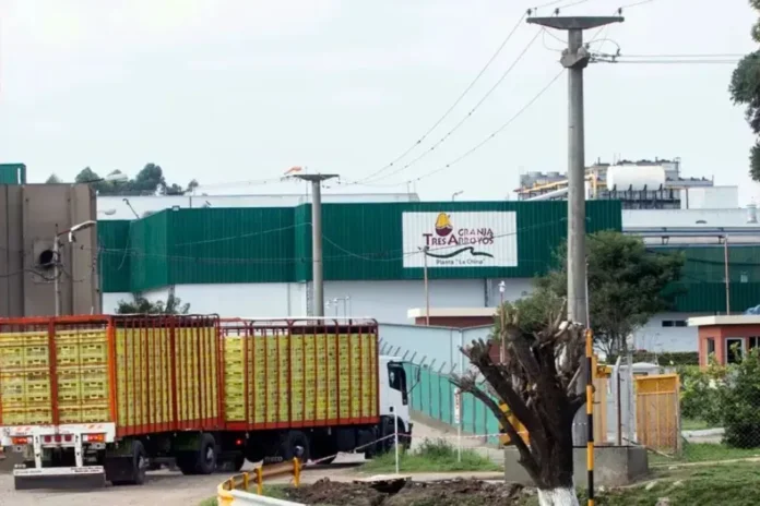 Trabajadores de la industria avícola en Concepción del Uruguay